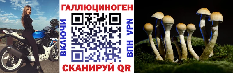 сайты даркнета какой сайт  Белинский  Псилоцибиновые грибы GOLDEN TEACHER 